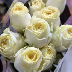 Кенійська піоноподібна троянда Buttercup 50 см