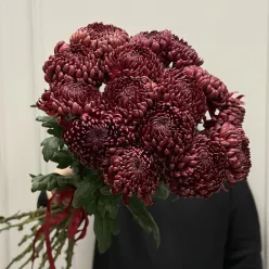15 одноголовых хризантем Бигуди