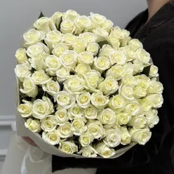 77 белых роз Beluga 50 см