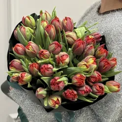 33 червоні піоноподібні тюльпани