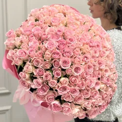 151 кенійська троянда Babyface 50 см