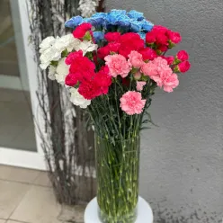 Гвоздика в асортименті
