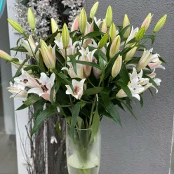Лілія в асортименті