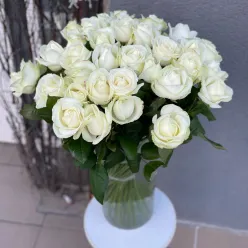 Біла троянда Аваланч 60 см