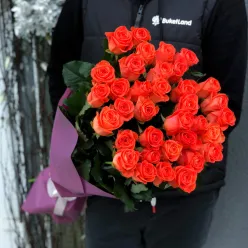 41 коралова троянда Wow 60 см