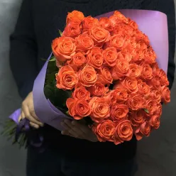 51 коралловая роза Wow 60 см