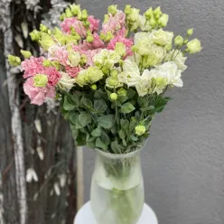 Еустома в асортименті