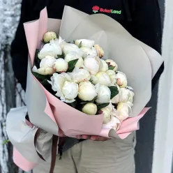 29 білих півоній