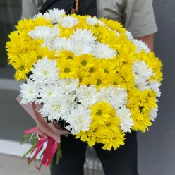 15 хризантем мікс 2