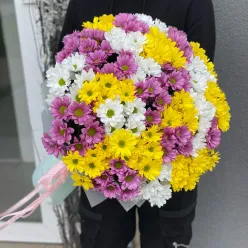 25 хризантем мікс