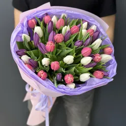 51 тюльпан мікс (3 кольори)