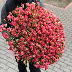 101 рожева троянда спрей