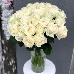 Біла троянда Аваланч 50 cм