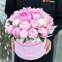 29 півоній в капелюшній коробці