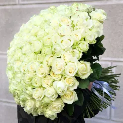 151 біла троянда 60 см