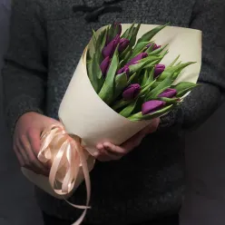 15 фіолетових тюльпанів