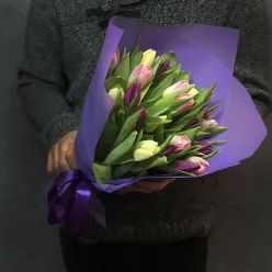 21 тюльпан мікс (3 кольори)