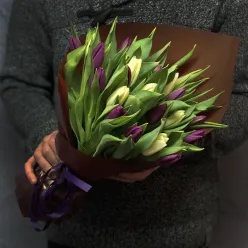 25 тюльпанів мікс (2 кольори)