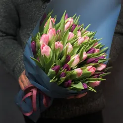 51 тюльпан мікс (2 кольори)