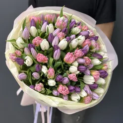 101 тюльпан мікс (3 кольори)