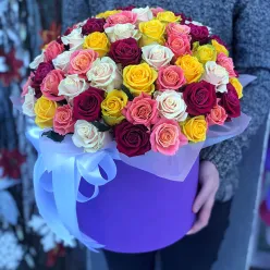 51 троянда мікс в шляпній коробці (4 кольори)