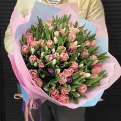 151 тюльпан в асортименті