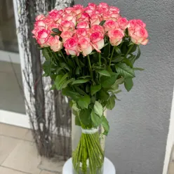 Роза Джумілія 80 см