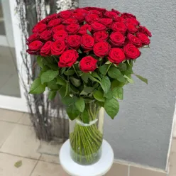 Роза червона Гран Прі 80 см