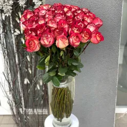 Еквадорська троянда Ігуазу 80 см