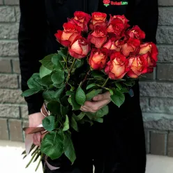 15 еквадорських троянд Ігуазу 80-90 см