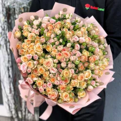 51 кущова троянда мікс 60 см