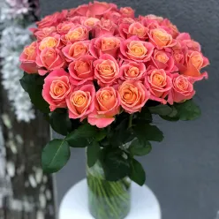 Роза Міс Піггі