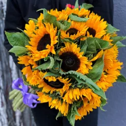 Bouquet of 25 sunflowers