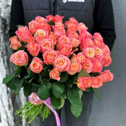 41 троянда Міс Піггі