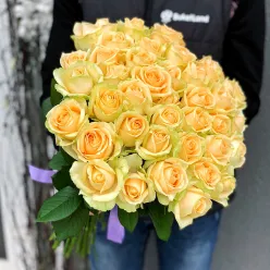 41 троянда Піч Аваланч