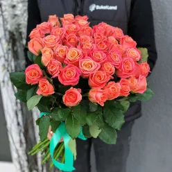 41 троянда Міс Піггі