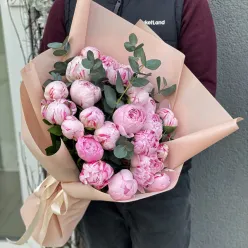 25 голландських півоній Sarah Bernhardt з зеленню