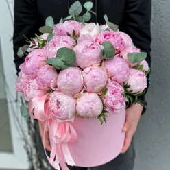 37 голландських півоній Sarah Bernhardt в шляпній коробці