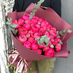 Букет з 55 півонії в асортименті