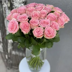 Троянда Софі Лорен 80 см