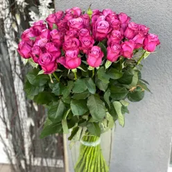 Троянда Принц Персії 60 см