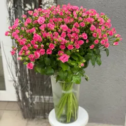 Кущова троянда Лавлі Лідія 60 см