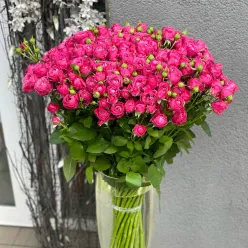 Кущова піоноподібна троянда Марвелоуз Баблз