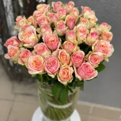 Троянда Фієста 60 см