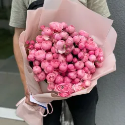 21 кущова піоноподібна троянда Сільва Пінк