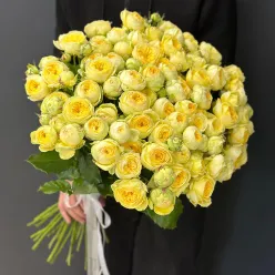 33 кущових піоноподібних троянд Піоні Баблз