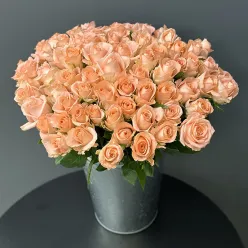 Кенійська троянда Kiss 2u 50 см