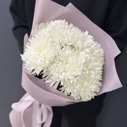 7 одноголових хризантем в асортименті