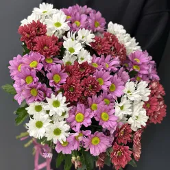 15 хризантем мікс