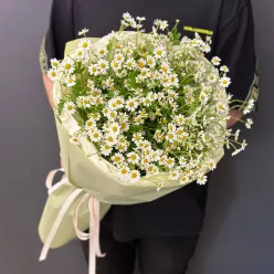 Букет із 15 кущових ромашок